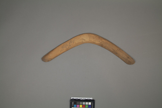 Hearst Museum object titled Boomerang, accession number 11-3368, described as Boomerang