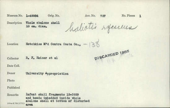 Documentation associated with Hearst Museum object titled Shell, accession number 1-49984, described as Whole abalone shell.  "Haliotis rufescens" added in pencil.