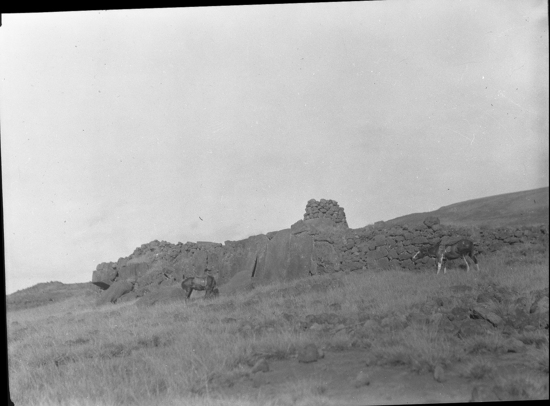 Hearst Museum object titled Black-and-white negative, accession number 15-11810, described as Burial terrace of Vaimata