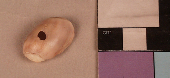 Hearst Museum object 2 of 2 titled Bead, accession number L-17252.4, described as Bennyhoff shell bead type D1a