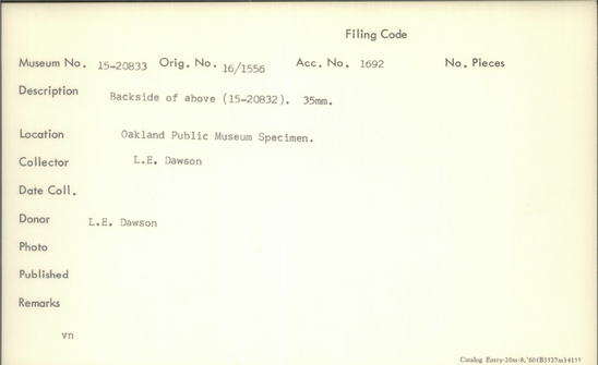 Documentation associated with Hearst Museum object titled Black-and-white negative, accession number 15-20833, no description available.