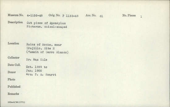 Documentation associated with Hearst Museum object titled Worked shell, accession number 4-1138, described as Cut piece of Spondylus pictorum, chisel-shaped.