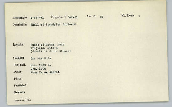 Documentation associated with Hearst Museum object titled Shell, accession number 4-887, described as Shell of Spondylus pictorum.