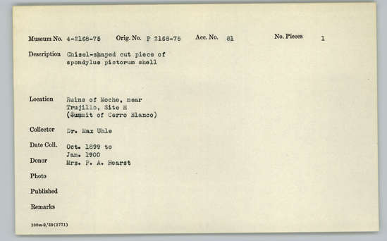 Documentation associated with Hearst Museum object titled Worked shell, accession number 4-2171, described as Chisel-shaped cut piece of Spondylus pictorum shell.