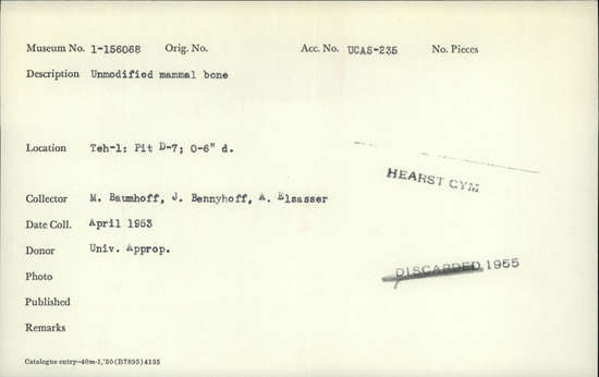 Documentation associated with Hearst Museum object titled Faunal remains, accession number 1-156068, described as Unmodified, mammal.