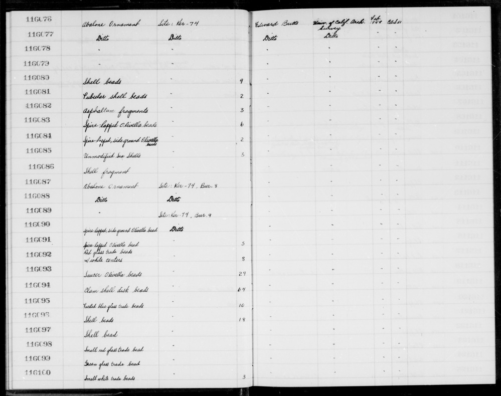 Documentation associated with Hearst Museum object titled Shell fragment, accession number 1-116086, described as Shell fragment