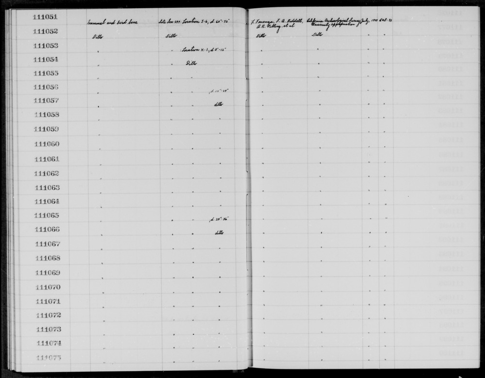 Documentation associated with Hearst Museum object titled Faunal remains, accession number 1-111051, described as Mammal and bird.