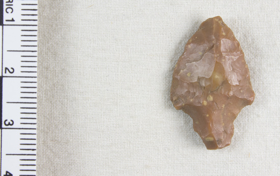 Hearst Museum object 4 of 4 titled Arrowhead, accession number 8-1328, described as Red flint arrowhead