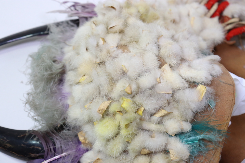 Hearst Museum object 12 of 15 titled Headdress, accession number 2-45410, described as Felt cap covered with strips of rabbit fur, patches stained yellow, traces of green fluff at front. Crown with 2 split polished horns attached to interior hide strip. Purple feathers and green-gray fluff in between and at base of horns. Multicolored silk grosgrain (?) ribbons bound to left horn tip. Ten "ermine tails" of rabbit fur sewn about a cord, red felt seized, with black hair tips; fringes at sides.