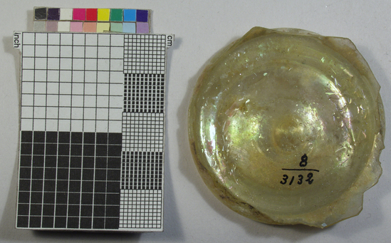 Hearst Museum object 4 of 9 titled Glass, accession number 8-3132, described as Ten vessel bottoms; glass