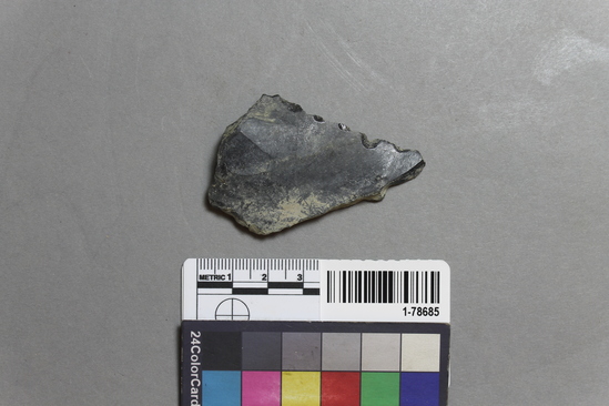 Hearst Museum object titled Blade, accession number 1-78685, described as Obsidian.