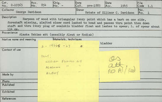 Documentation associated with Hearst Museum object titled Harpoon, accession number 2-19365, described as Harpoon of wood with triangular ivory point which has a barb on one side. Foreshaft missing, plaited sinew cord lashed to head. The cord passes through point then down shaft and through ivory plug of sealskin bladder float and lashes to spear.