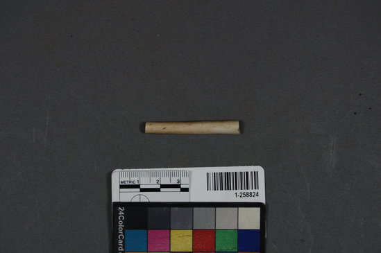 Hearst Museum object titled Ceramic pipe fragment, accession number 1-258824, described as No description given on catalog card