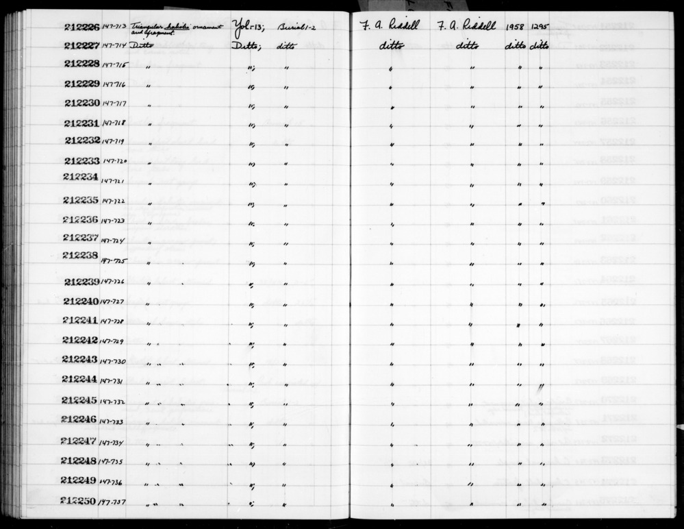 Documentation associated with Hearst Museum object titled Shell fragment, accession number 1-212229, described as Triangular haliotis. Notice: Image restricted due to its potentially sensitive nature. Contact Museum to request access.