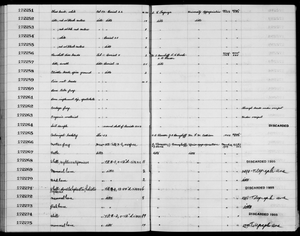 Documentation associated with Hearst Museum object titled Beads, accession number 1-172258, described as Olivella, spire ground.