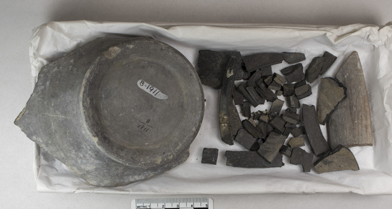 Hearst Museum object titled Plate fragment, accession number 8-1911, described as Fragment of a bucchero plate. Description from Matteucig (1951): Fragment of a bucchero dish similar to nos. 8-1903-1908.