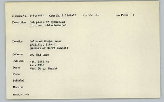 Documentation associated with Hearst Museum object titled Worked shell, accession number 4-1471, described as Cut piece of Spondylus pictorum, chisel-shaped.