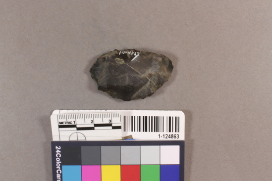 Hearst Museum object titled Blade, accession number 1-124863, described as Chert.