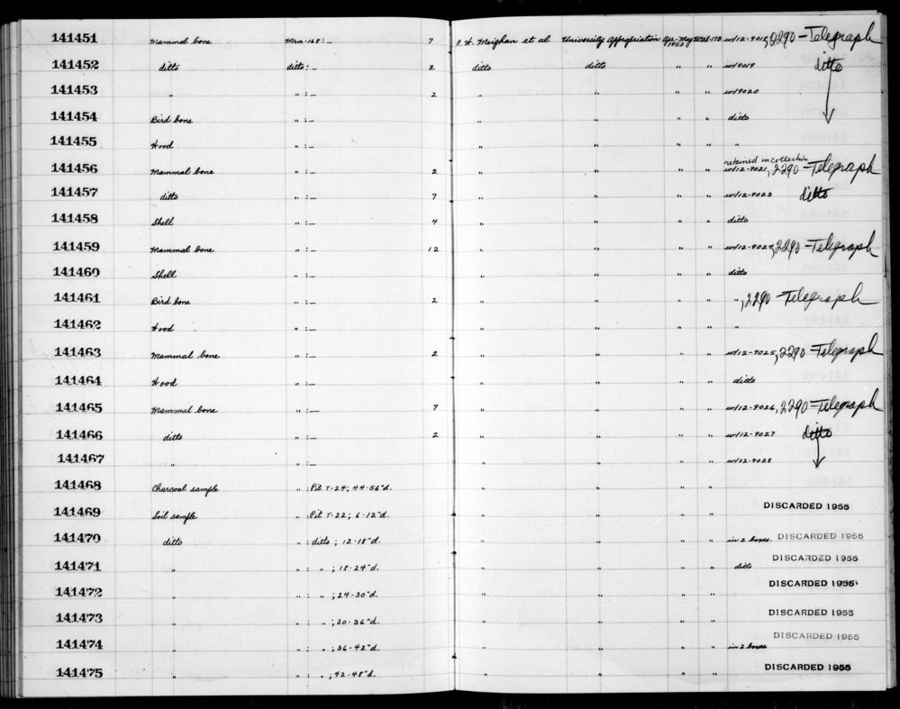 Documentation associated with Hearst Museum object titled Wood, accession number 1-141462, described as wood.