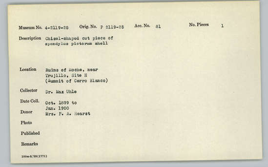 Documentation associated with Hearst Museum object titled Worked shell, accession number 4-2122, described as Chisel-shaped cut piece of Spondylus pictorum shell.