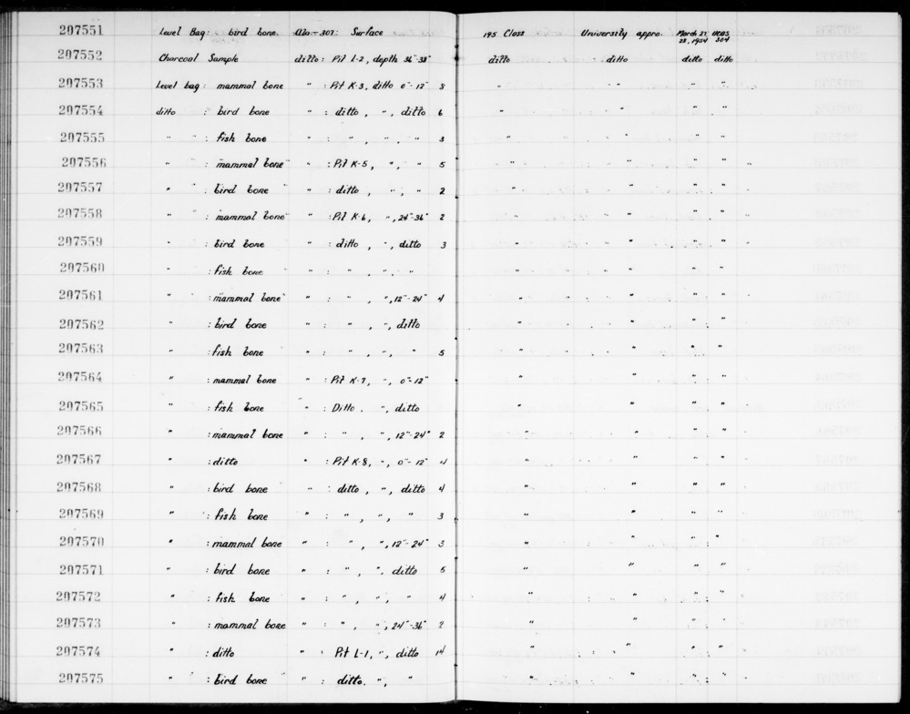 Documentation associated with Hearst Museum object titled Bird bone, accession number 1-207571b, described as Bird (Aves) bone, fragment from wing bone.