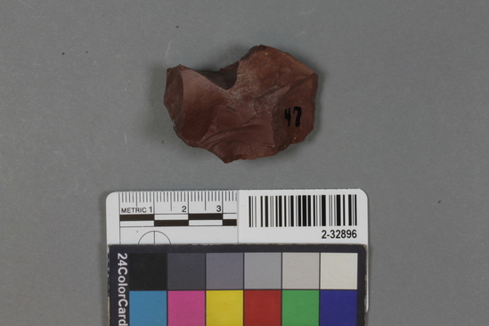 Hearst Museum object titled Scraper fragment, accession number 2-32896, described as Chert.