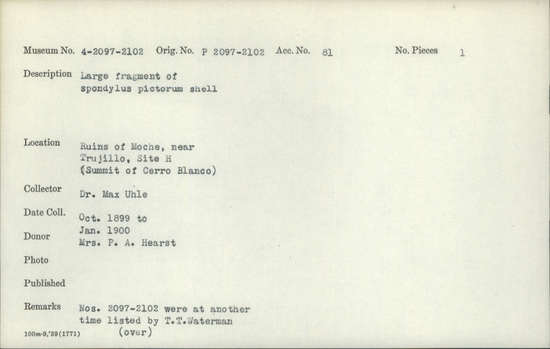 Documentation associated with Hearst Museum object titled Shell fragment, accession number 4-2097, described as Large fragment of Spondylus pictorum shell.