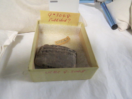 Hearst Museum object 30 of 122 titled Cuneiform tablet, accession number 9-3048, described as Mesopotamian cuneiform tablet