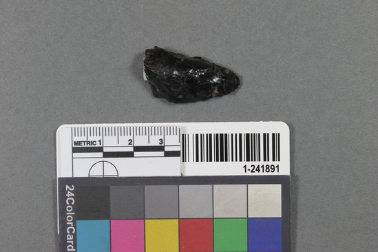 Hearst Museum object titled Blade fragment, accession number 1-241891, described as Obsidian.