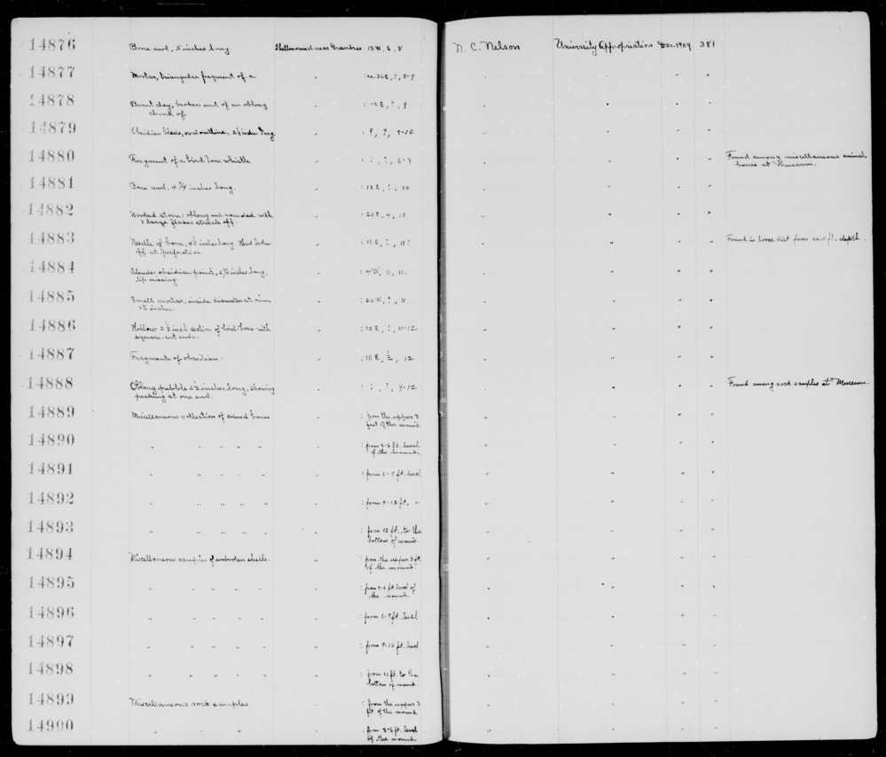 Documentation associated with Hearst Museum object titled Awl, accession number 1-14881, described as Bone. Notice: Image restricted due to its potentially sensitive nature. Contact Museum to request access.