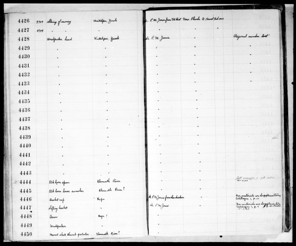 Documentation associated with Hearst Museum object titled Shell money, accession number 1-4427, described as Dentalium shells, one string of 13 (3 missing); on fiber cordage, with hank of white thread at each end; wide end of shell snakeskin wrapped