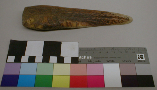 Hearst Museum object titled Wedge, accession number 1-1158, described as Elk antler, polished by usage, straight