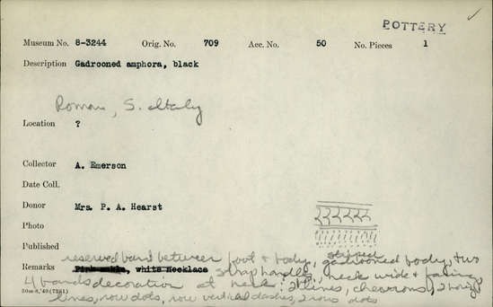 Documentation associated with Hearst Museum object titled Amphora, accession number 8-3244, described as Gadrooned amphora, black