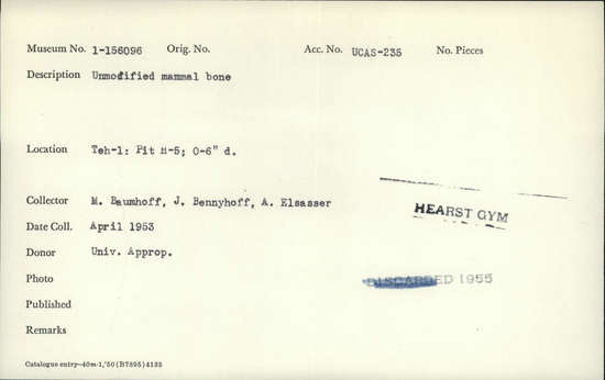 Documentation associated with Hearst Museum object titled Faunal remains, accession number 1-156096, described as Unmodified, mammal.