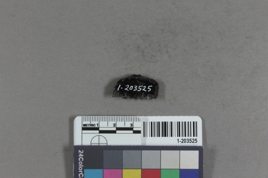 Hearst Museum object titled Projectile point fragment, accession number 1-203525, described as Obsidian.