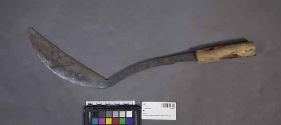 Hearst Museum object titled Metal tool, accession number 9-6657, described as Iron sickle with wooden home-made handle; length 20 inches. Iron forged in India.