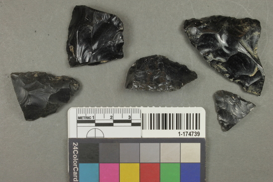 Hearst Museum object titled Flake fragments, accession number 1-174739, described as Bifacial obsidian.
