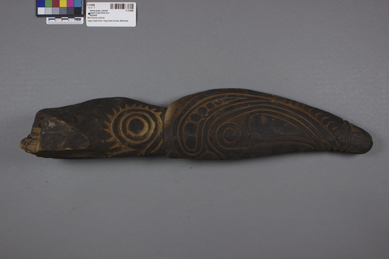 Hearst Museum object 1 of 2 titled Canoe prow, accession number 11-37668, described as Canoe prow, carved wood, from a river canoe; stylized head of a crocodile with upturned snout; 50.8 cm 1.