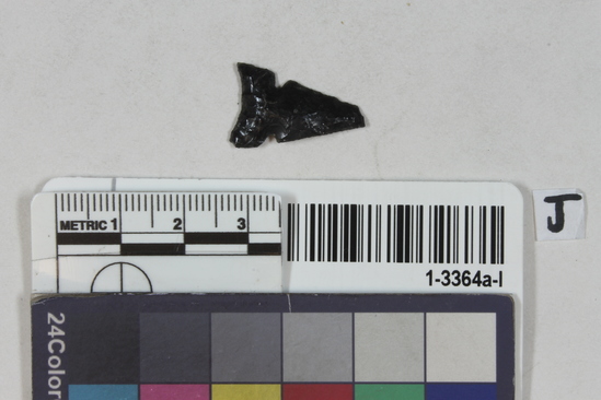 Hearst Museum object titled Projectile points, stone, and chips, accession number 1-3364a-l, described as Arrowpoints and small objects: a) Long bone arrowpoint with severed barbs; b) sharp bone point; c) flint point; d) flint point; e) flint point; f) obsidian point; g) obsidian point; h) slender stone; i) obsidian chop; j) obsidian point; k) obsidian point; l) obsidian chop.