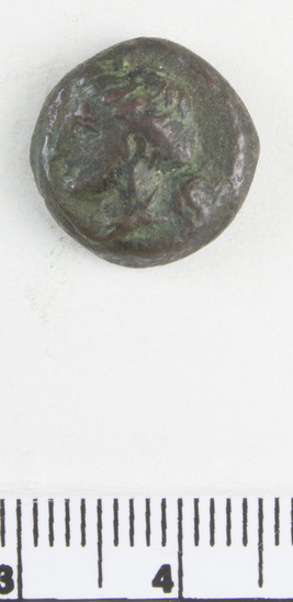 Hearst Museum object 3 of 6 titled Coin: æ, accession number 8-5893, described as Coin; Æ; bronze issue; size: 13.9 mm.; weight: 4.44 gm. Obverse: Bust of Artemis? (Latin: Diana) facing left, wearing earring and necklace; hair in knot behind. Reverse: Free horse standing facing right, left fore-leg raised: plain border.