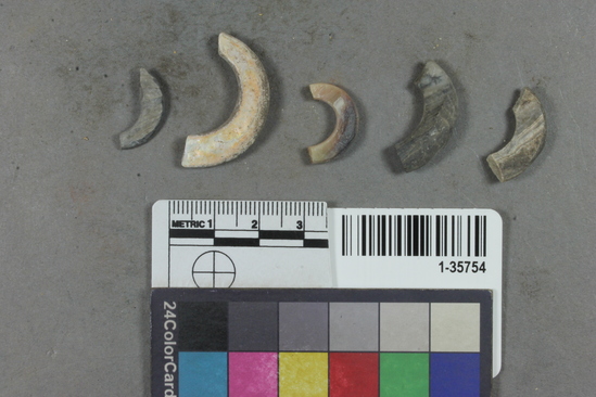 Hearst Museum object titled Fishhook fragments, accession number 1-35754, described as Shell fish hook fragments.