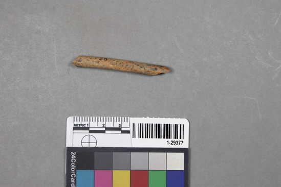 Hearst Museum object titled Whistle fragment, accession number 1-29377, described as Made of bone.