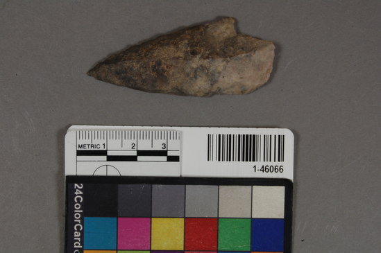 Hearst Museum object titled Point, accession number 1-46066, described as Gray flint point