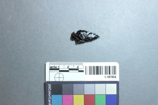 Hearst Museum object titled Projectile point, accession number 1-187854, described as Obsidian