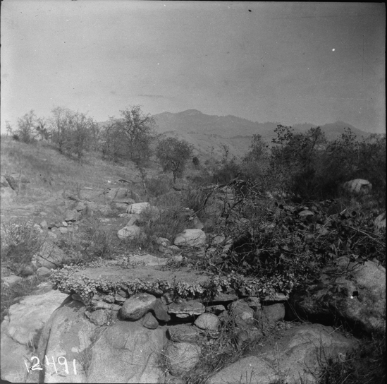 Hearst Museum object titled Black-and-white negative, accession number 15-2491, described as Pigeon snare ambush