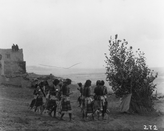 Hearst Museum object titled Black-and-white negative, accession number 15-272, described as Antelope priests dancing in circle around the sipapu--day before snake dance--cottonwood branches on right.