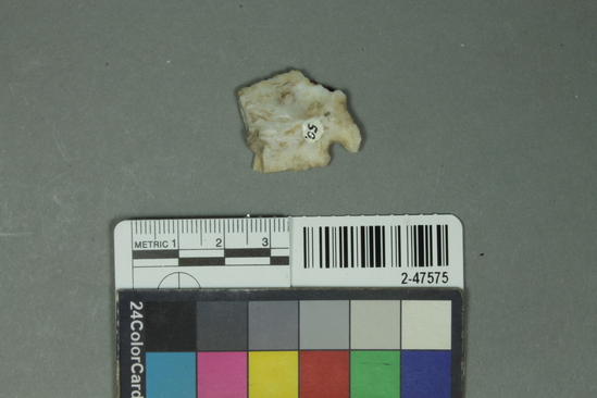 Hearst Museum object titled Projectile point fragment, accession number 2-47575, described as Projectile point base; chert; white; retouched on two edges; length 2.5 cm, width 2.2 cm; weight 3.5 g.