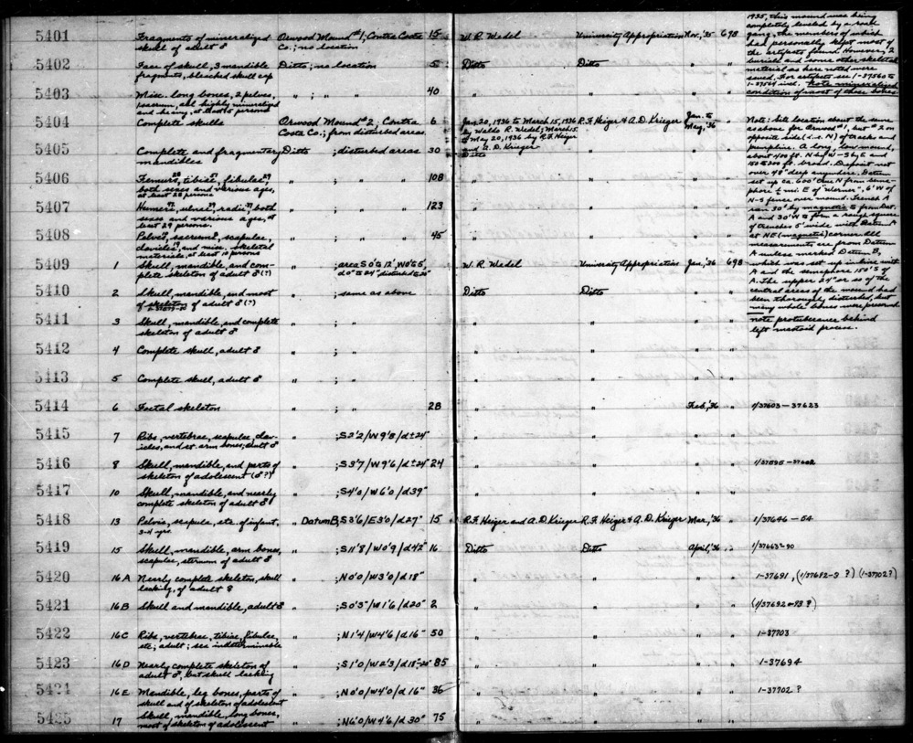 Documentation associated with Hearst Museum object titled Wood, accession number 12-5404+A-F.2, described as Charred wood fragments found with 12-5404C