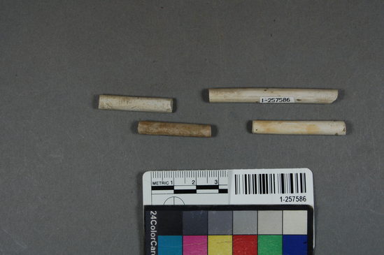 Hearst Museum object titled Ceramic pipe fragments, accession number 1-257586, described as No description given on catalog card