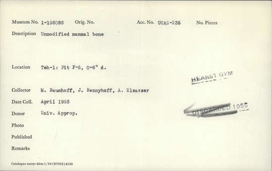 Documentation associated with Hearst Museum object titled Faunal remains, accession number 1-156086, described as Unmodified, mammal.